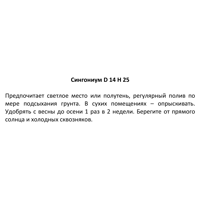 слайд 2
