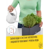 слайд 4