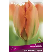 слайд 0