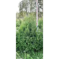 слайд 0