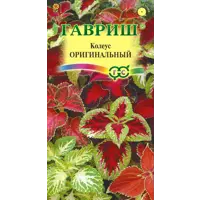 слайд 0