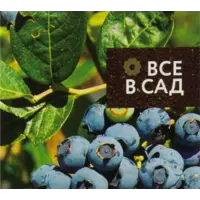 слайд 5