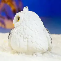 слайд 6