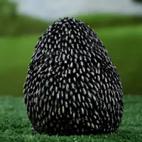 слайд 5