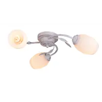 слайд 0