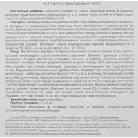 слайд 3