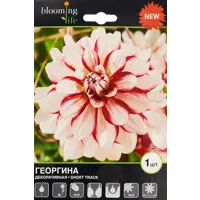 слайд 0