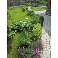 слайд 3