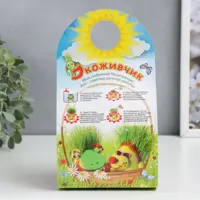 слайд 6