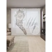 слайд 0