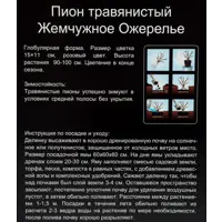 слайд 3