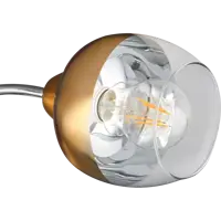слайд 5