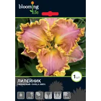 слайд 0