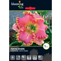 слайд 0