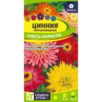 слайд 0