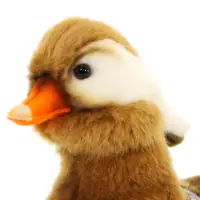 слайд 9