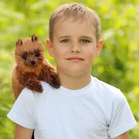 слайд 7