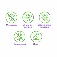 слайд 5