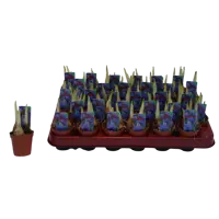 слайд 0