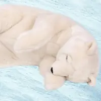 слайд 6