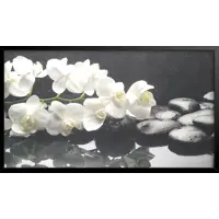 слайд 0
