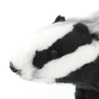 слайд 7