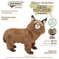 слайд 8