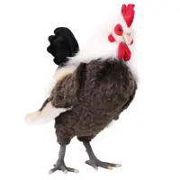 слайд 0