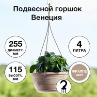 слайд 5