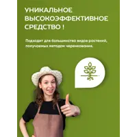 слайд 4