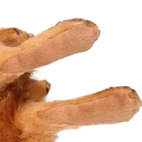 слайд 5