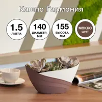 слайд 5