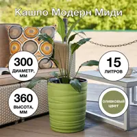 слайд 4