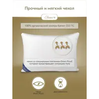 слайд 3