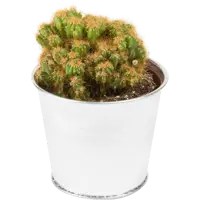 слайд 0