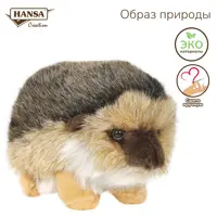 слайд 5