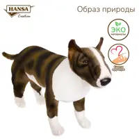 слайд 5