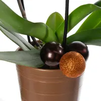 слайд 5