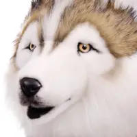 слайд 6