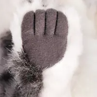 слайд 7