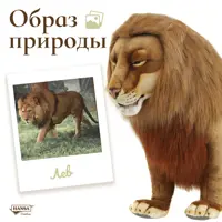 слайд 4
