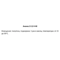 слайд 3