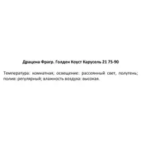 слайд 3