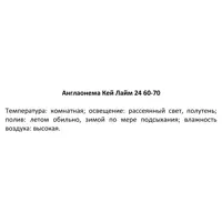 слайд 3