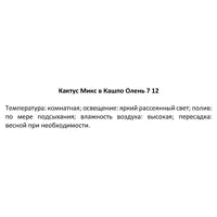 слайд 8