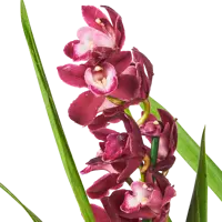 слайд 3