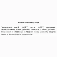 слайд 5