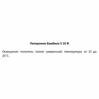 слайд 3