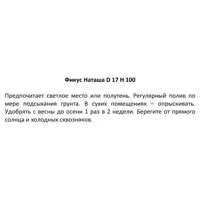 слайд 3