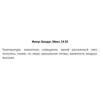 слайд 3
